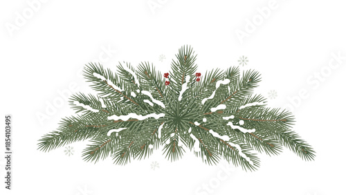 Snow-covered spruce branch with red berries against a white background, featuring a frosty winter scene with evergreen foliage.