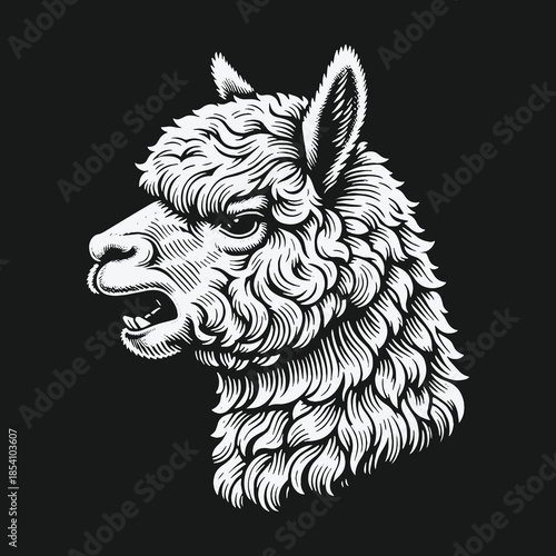 Monochrome engraved alpaca head with open mouth vector illustration.