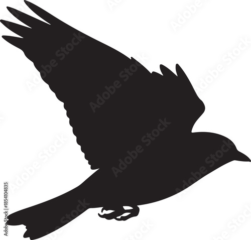 Black Flying Bird Silhouette Vector Graphic Isolated
