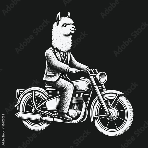 A dapper llama dressed in a suit riding a classic motorcycle.