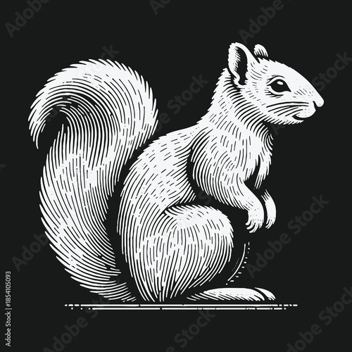 Vintage engraving style white squirrel illustration on a solid black background.