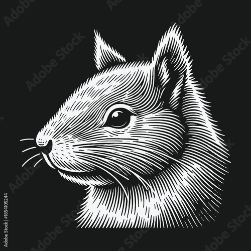 Vintage squirrel head illustration in black and white engraving style.
