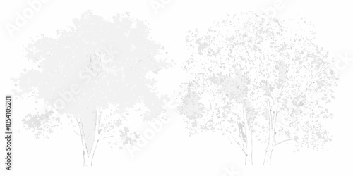 Minimalist depiction of two trees with delicate foliage and light gray tones