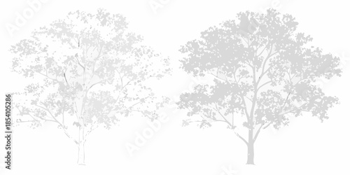 Silhouetted trees against a white background provide a minimalistic natural scene