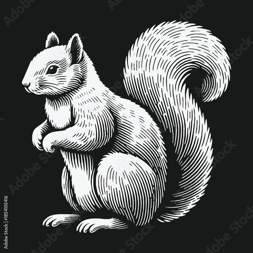Vintage engraved style squirrel illustration on a dark background.