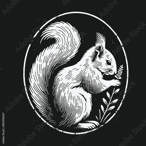 Vintage woodcut style squirrel illustration in an oval frame.