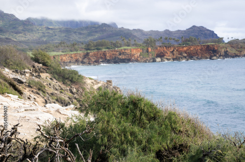 The bluffs in south Poipu, Kauai Hawaii December, 2025 