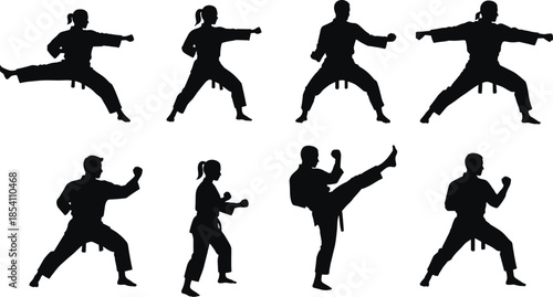Martial arts silhouette, karate pose, high kick, defensive stance, black figure, combat training, discipline, strength, uniform, belt, action
