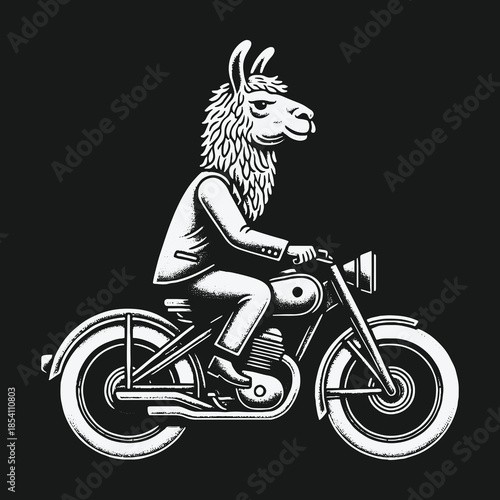 Stylish llama in a business suit riding a classic motorcycle.