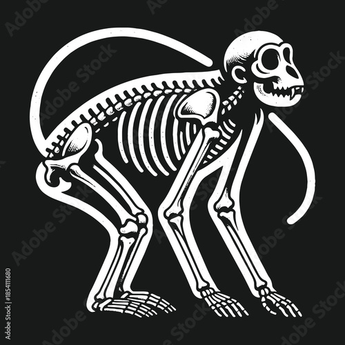 Stylized white monkey skeleton illustration on a solid black background.
