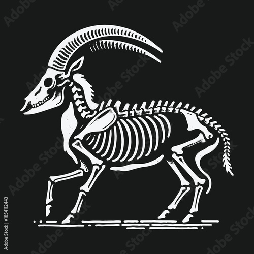Anatomical illustration of a walking goat skeleton with large horns.