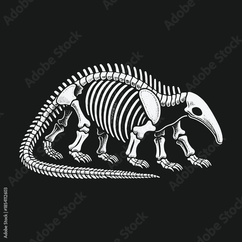 Detailed anatomical illustration of an anteater skeleton walking.