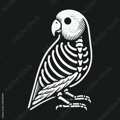 Monochrome anatomical parrot skeleton vector illustration.