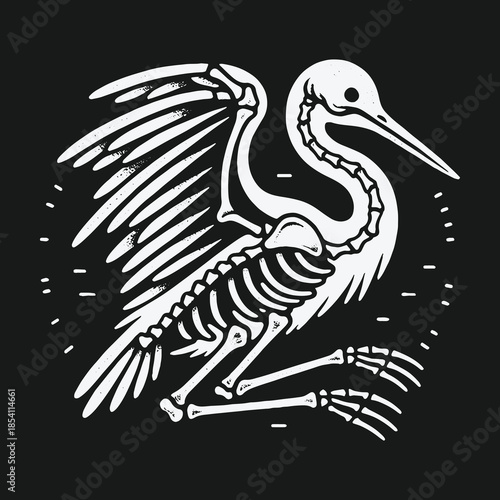 Monochrome vector illustration of a bird skeleton with spread wings.