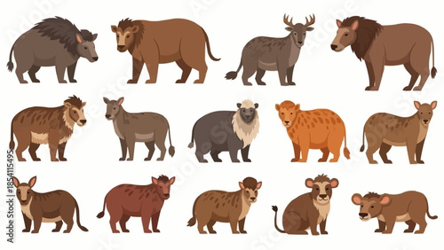 Collection of Various Wild Boar Species.