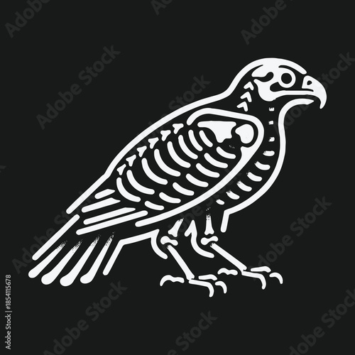 Stylized white skeleton illustration of a falcon bird on a black background.