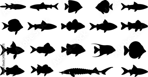 Comprehensive collection of various black fish silhouettes isolated on white background, including tropical species, sharks, and freshwater fish for aquatic and marine design.