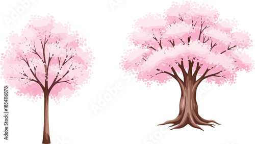Pink cherry blossom trees illustration isolated on white background representing spring nature, floral design, seasonal beauty, and botanical concepts
