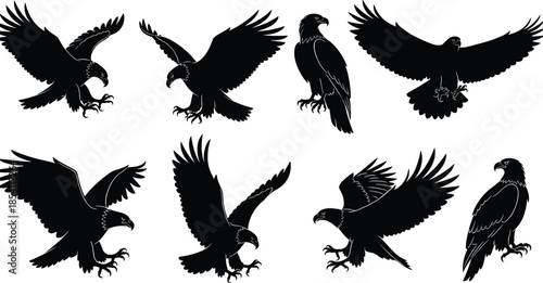 Eagle silhouette set, flying and landing birds of prey poses, powerful raptor wildlife collection, black vector illustration, isolated nature icons