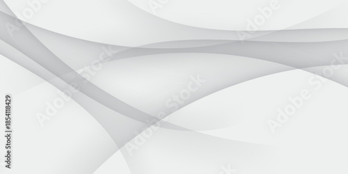 Curtain white wave soft shadow and blurred. frabic shapes curve designs. abstract backround on isolated. Vector Modern