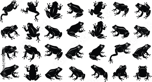 Frog silhouette set, amphibian wildlife poses collection, jumping sitting frogs, black vector illustration icons, nature animal design, isolated