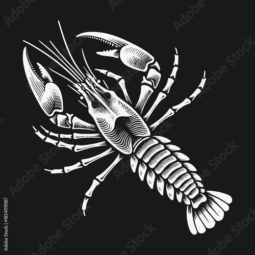 Vintage style crayfish illustration in monochrome engraving art.