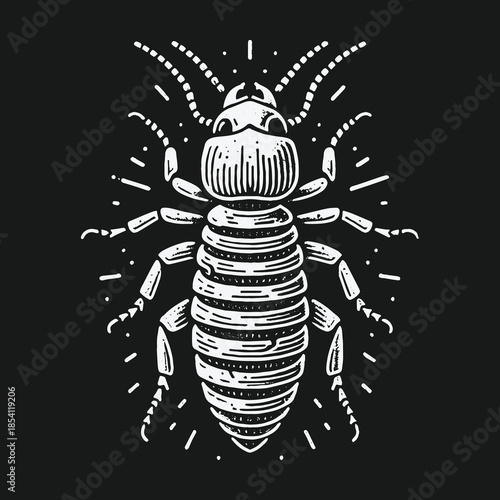 Hand drawn vintage termite insect illustration in woodcut style.