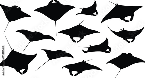 Manta ray silhouette set, flying stingray ocean poses collection, black vector illustration icons, marine wildlife design, isolated nature sea animals
