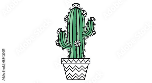 Tall green saguaro cactus with white flowers in a decorative black and white zig zag pattern pot for home and garden decor.