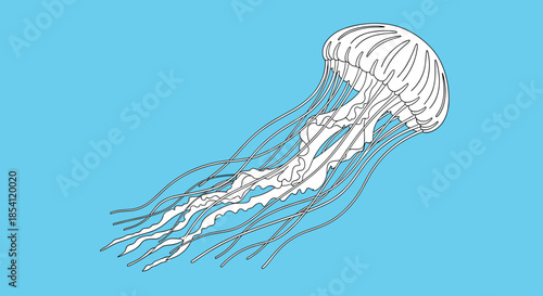 Elegant black and white line art illustration of a swimming jellyfish with long tentacles on a bright blue ocean background.