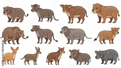 Collection of Various Wild Boar Animals.