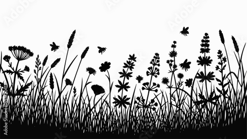 Silhouette of Wildflowers and Grasses.