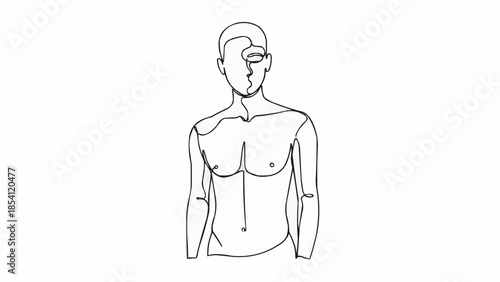 Simple Line Drawing of Male Torso Anatomy.