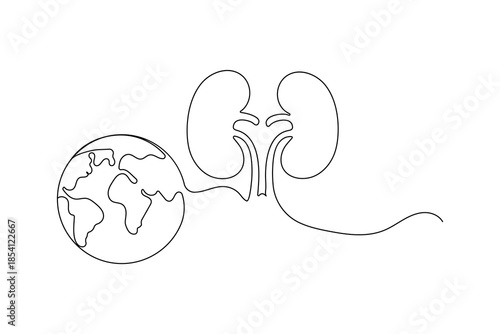 One line art illustration of human kidney anatomy for world healthcare