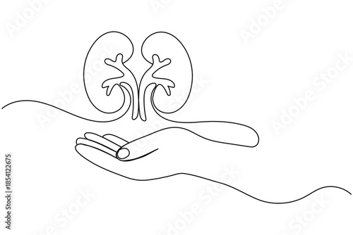 One line art illustration of human kidney anatomy for world healthcare