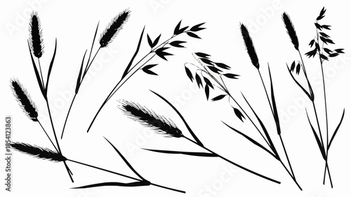 Black and White Illustration of Cattails.