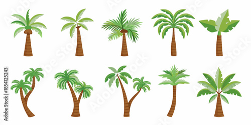 Collection of various tropical palm trees in different shapes and sizes