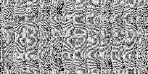 Detailed grayscale texture resembling rough fabric or weathered bark surface