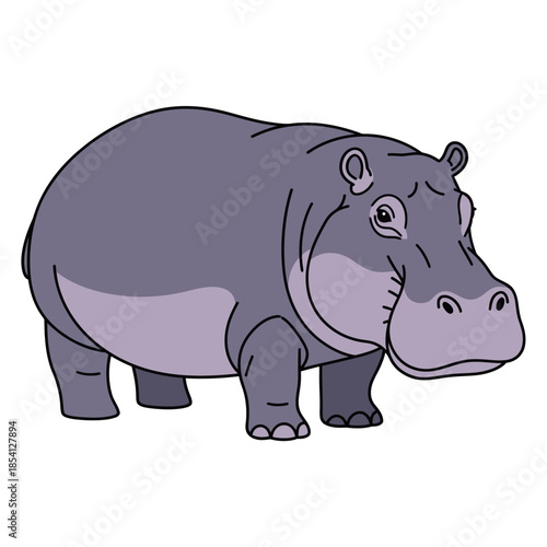 Cartoon illustration of a hippopotamus standing.