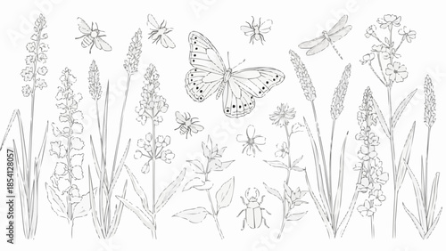Butterfly and Insects among Wildflowers Illustration.