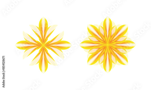 Seamless vector illustration set of yellow daisy flowers and spaghetti pasta isolated on white background for a summer floral pattern design