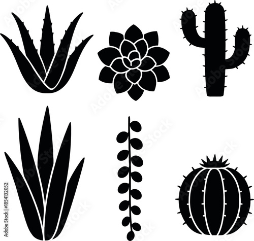 Modern Cactus and Succulent Plant Icons for Interior Design