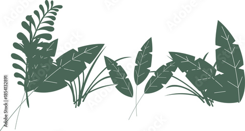 Dark green tropical leafy plants on a white background