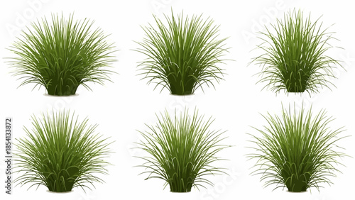 Realistic green long grass tufts isolated on white background,Stylized Green Grass Clumps Isolated on White Background.