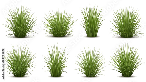 Realistic green long grass tufts isolated on white background,.Realistic green grass clumps vector illustrations isolated on white.