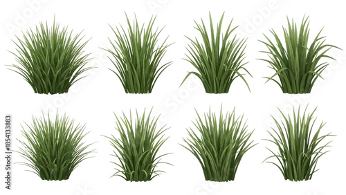 Realistic green long grass tufts isolated on white background,Lush green grass clumps in 3D render isolated on white background.