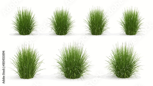 Realistic green long grass tufts isolated on white background,Isolated Realistic Green Grass Clumps 3D Render on White Background.