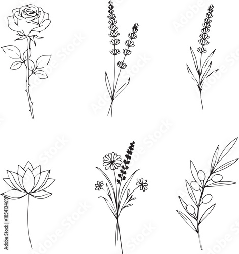 Minimalist Floral Line Art Collection: Rose, Lavender, Lotus, and Olive Branch Botanical Vector Illustrations