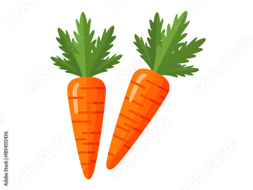 Two orange carrots with green leaves in a vector illustration style