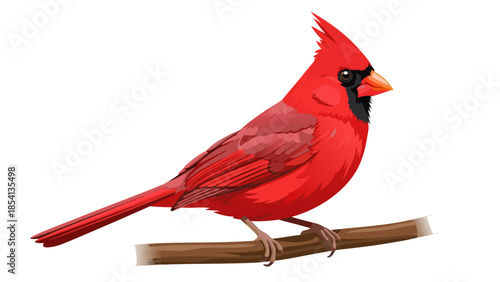 Vibrant red cardinal perched on branch vector illustration